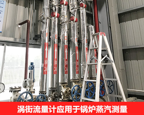 蒸汽流量計的優(yōu)勢